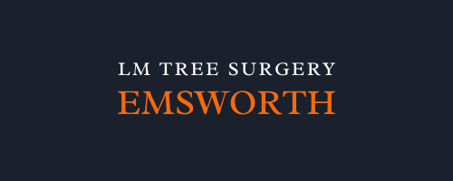 LM Tree Surgery Emsworth